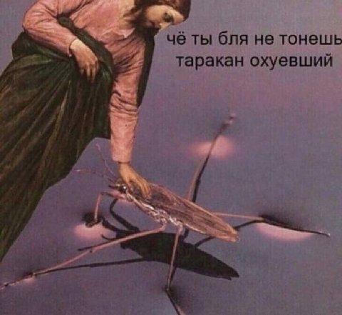 чё ты бля не тонешь таракан охуевшии С: nie