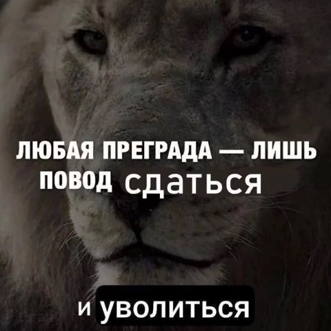 ЛЮБАЯ ПРЕГРАДА ЛИШЬ повод сдаться и уволиться
