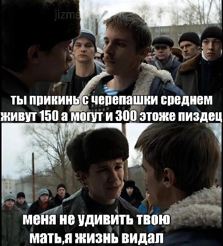 ты прикинь с черепашки среднем живут 150 а могли 300 этоже пиздец меня не удивить твою жизнь видал