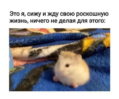 Это я, сижу и жду свою роскошную жизнь, ничего не делая для этого: