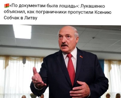 документам была лошадь»: Лукашенко объяснил, как пограничники пропустили Ксению Собчак в Литву