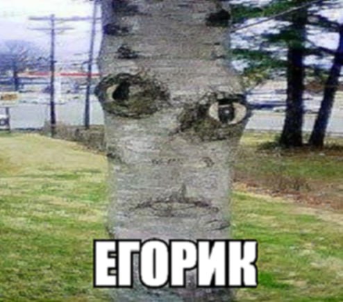 вот он