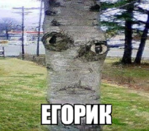 вот он