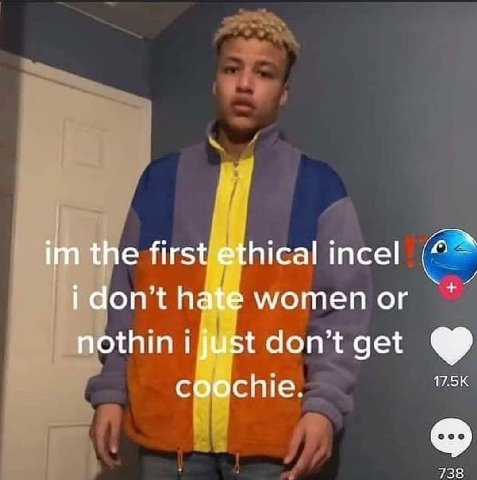 incel on’t hate мотеп thin 738