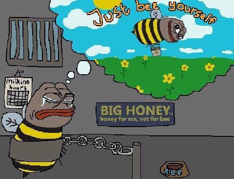 BIG HONEY. honey for me, not for bee