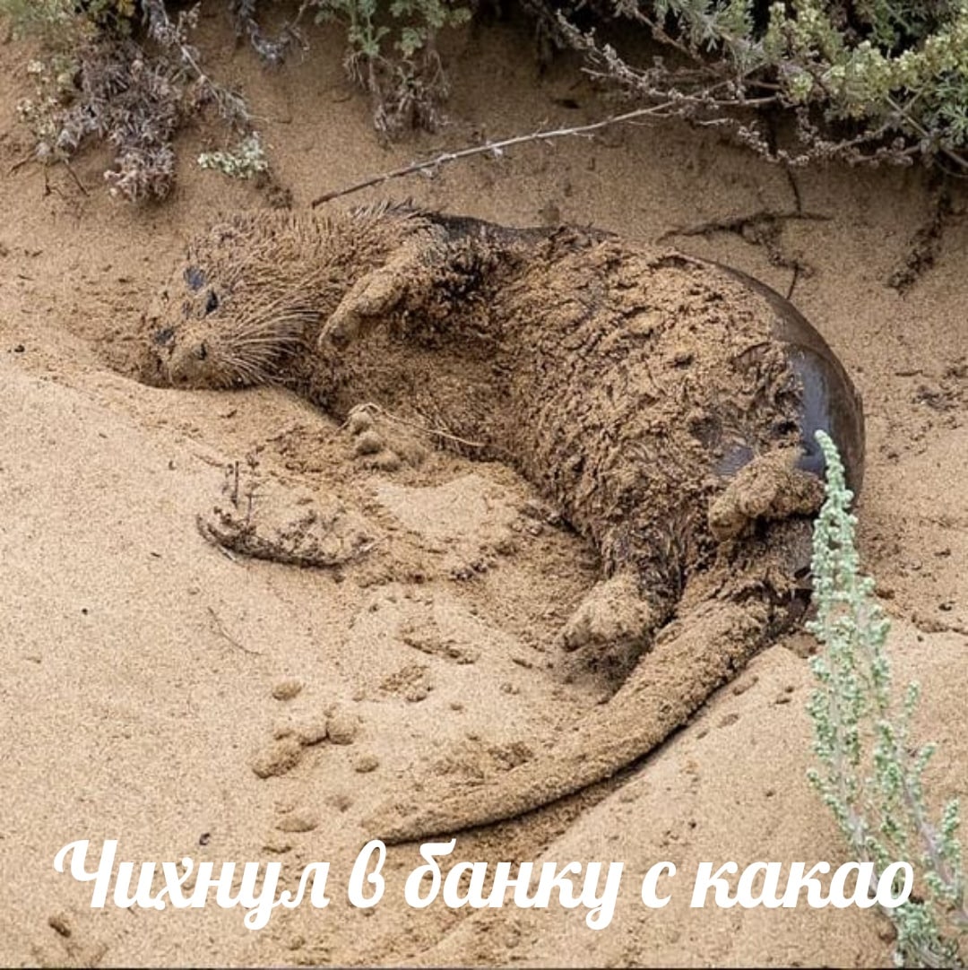 5. у ‘a Я 3 5 у и Я Я
