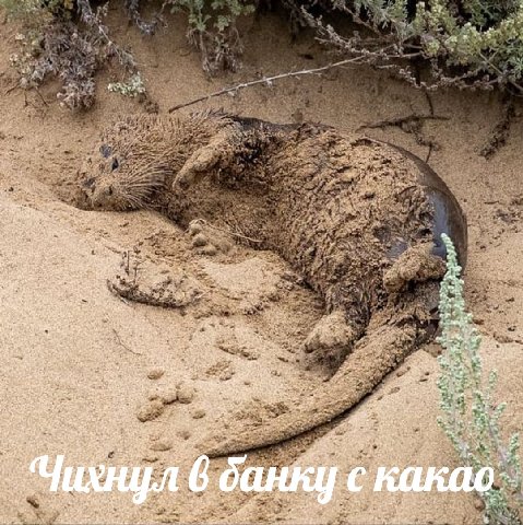 5. у ‘a Я 3 5 у и Я Я