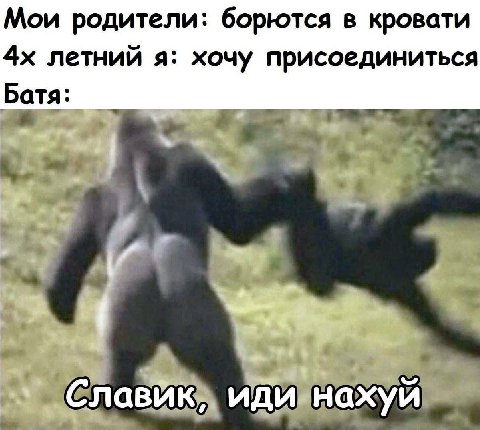 Мои родители: борются в кровати летний я: хочу присоединиться Батя: и иди нахуй