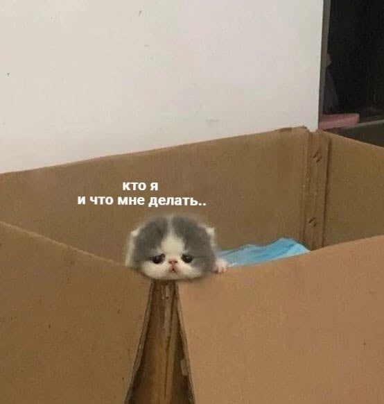 кто я и что мне делать. у