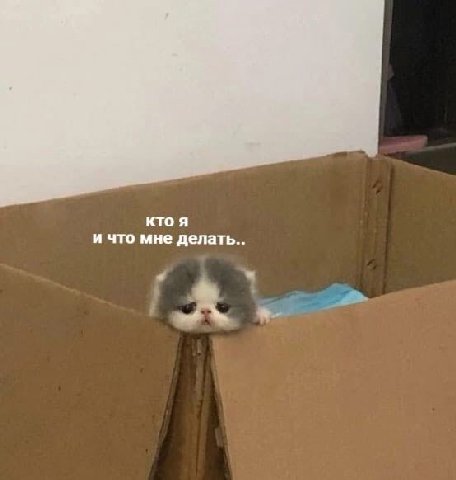 кто я и что мне делать. у