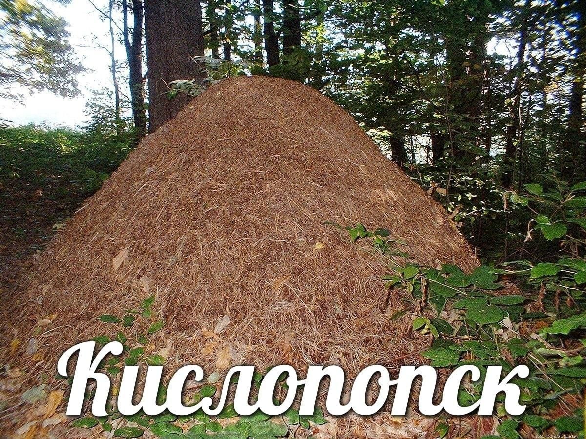 а 2 4 и 3 У a В