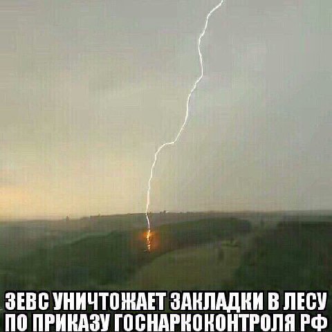 ЗЕВС УНИЧТОЖАЕТ ЗАКЛАДКИ В ЛЕСУ ПРИКАЗУ