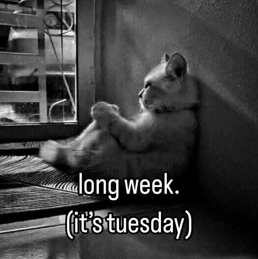 week