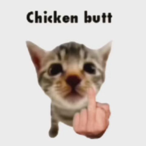 Chicken butt