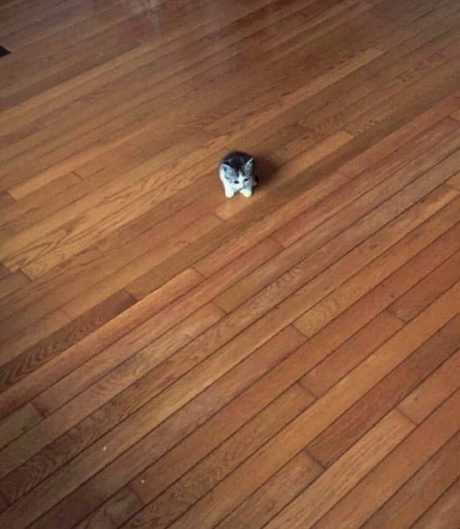 explain your smallness
