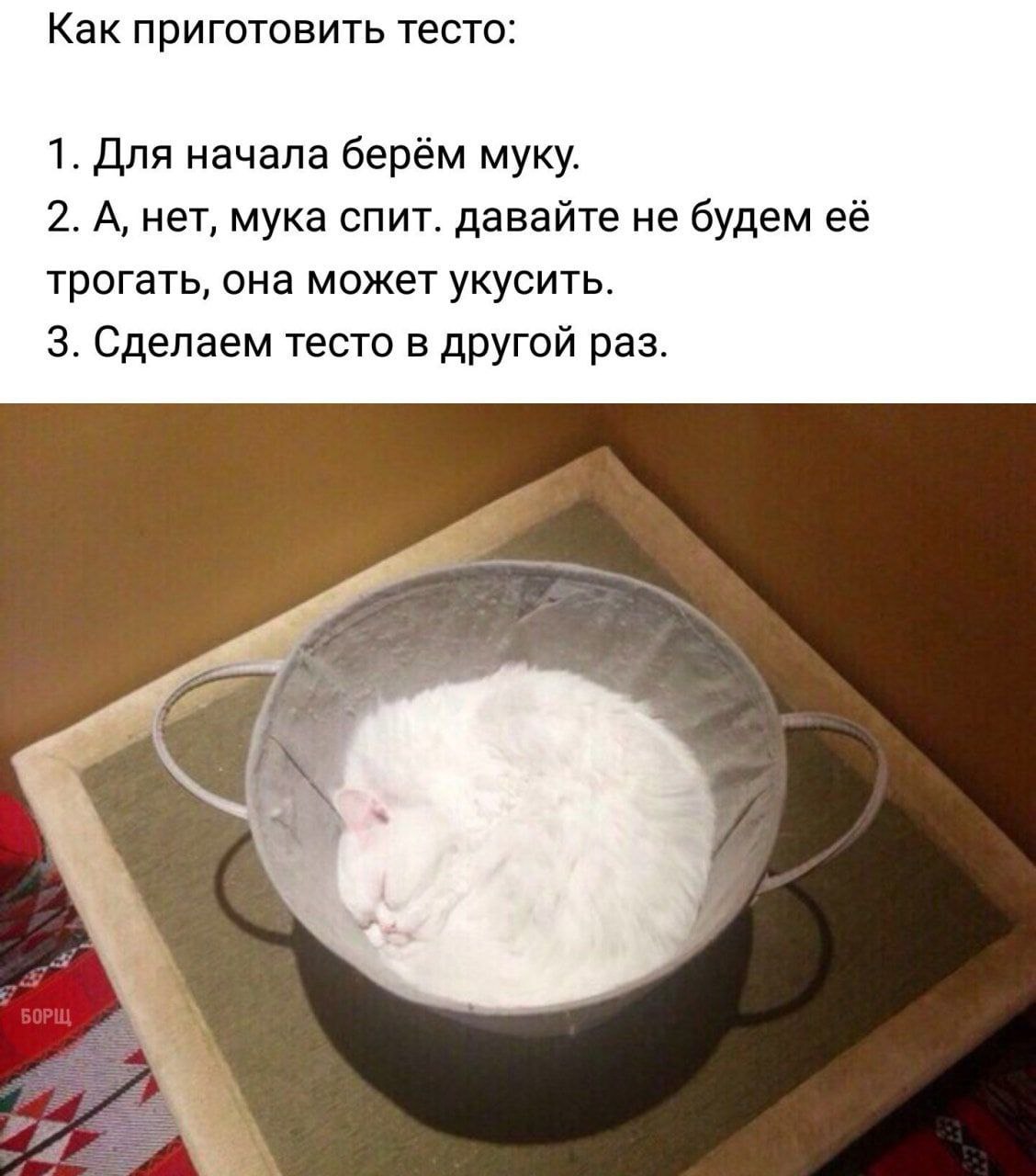 Как приготовить тесто: 1. Для начала берём муку. 2. А, нет, мука спит. давайте не будем её трогать, она может укусить. 3. Сделаем тесто в другой раз.