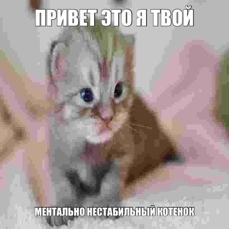 вместо доброго утра партнеру пишите: