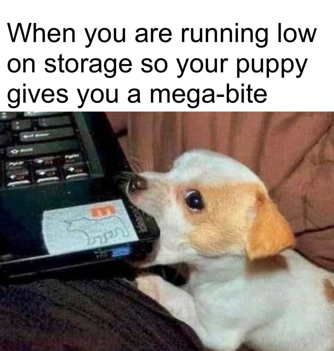 When you are running low on storage so your puppy you a mega-bite own