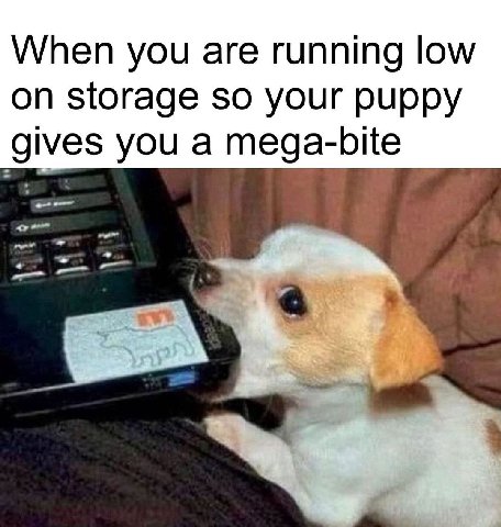 When you are running low on storage so your puppy you a mega-bite own