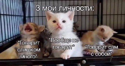 3 мои личности: ‘Говорит слишком ГОВОРЯ, Товорит сам МНОГО” с собой