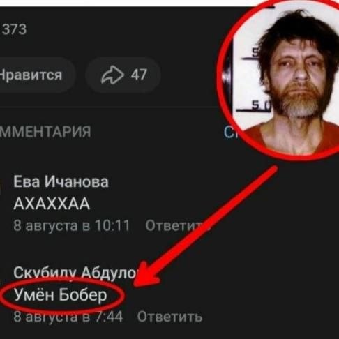 373 1равится 47 i ММЕНТАРИЯ С Ева Ичанова АХАХХАА 8 августа в 10:11 Ответил Скубилу Умён Бобер 8 /:44 Ответить
