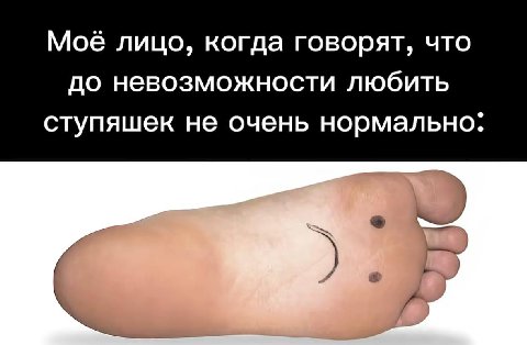 Moe лицо, когда говорят, что до невозможности любить ступяшек не очень нормально.