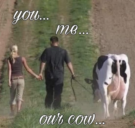 COW