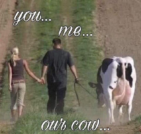 COW