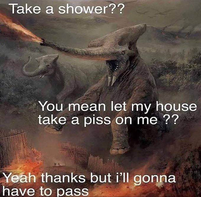 Take а shower?? You mean let my house take a piss on me Yeah thanks but gonna have to pass