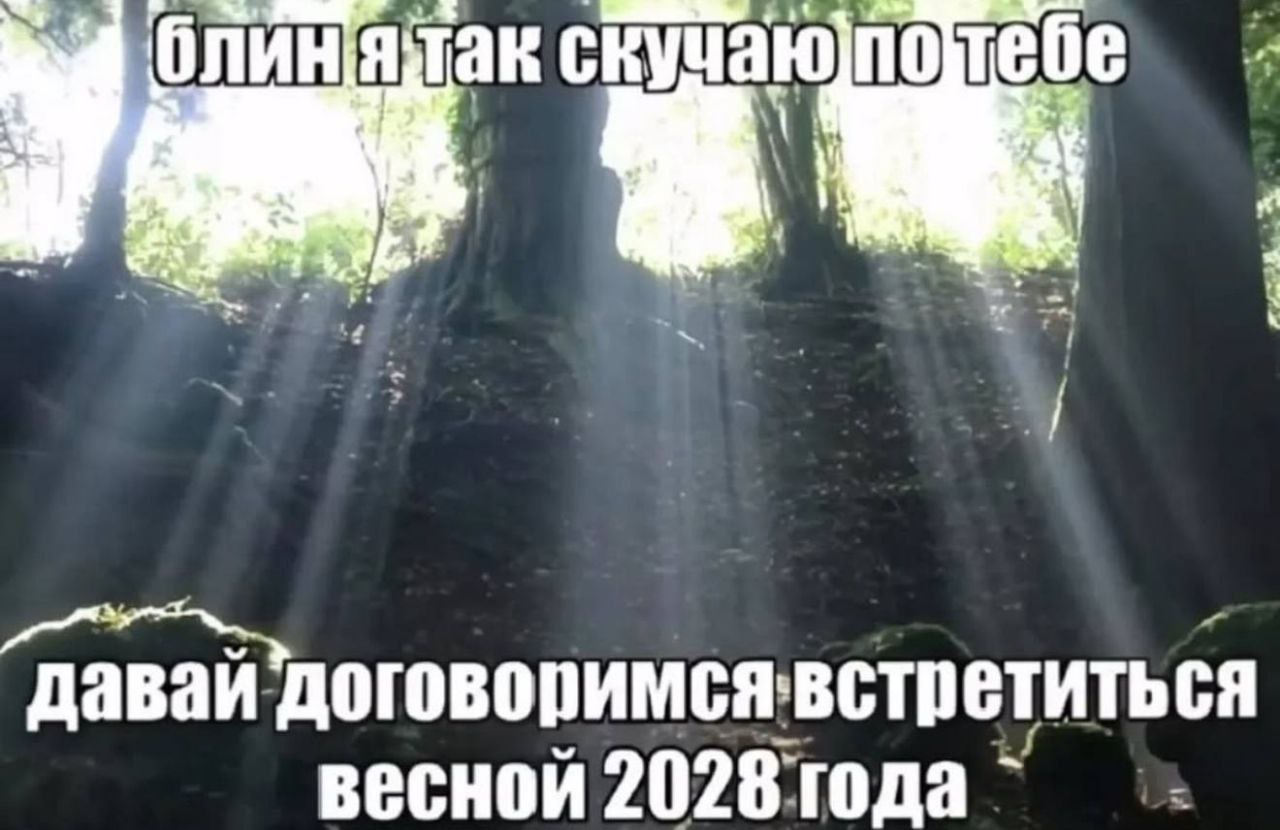 (i С кучаюлотебе договоримсявстретиться весной