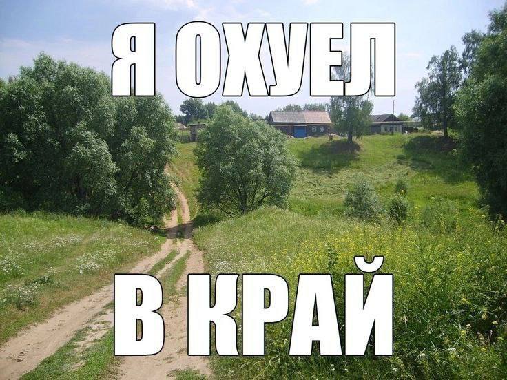 7 я