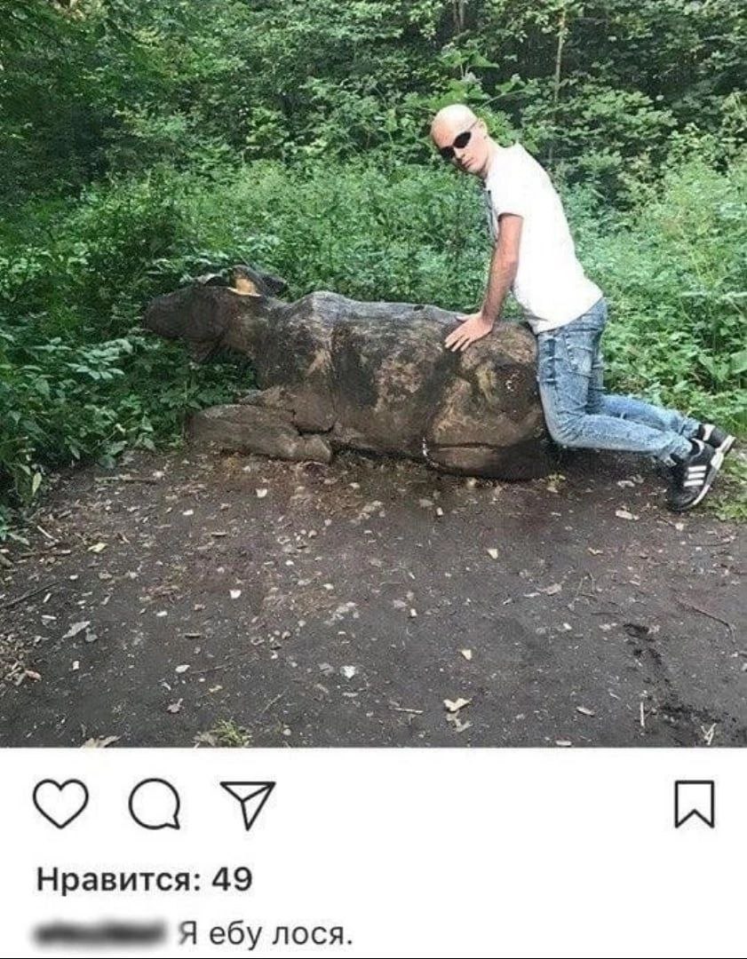 Нравится: 49 Я ебу лося.