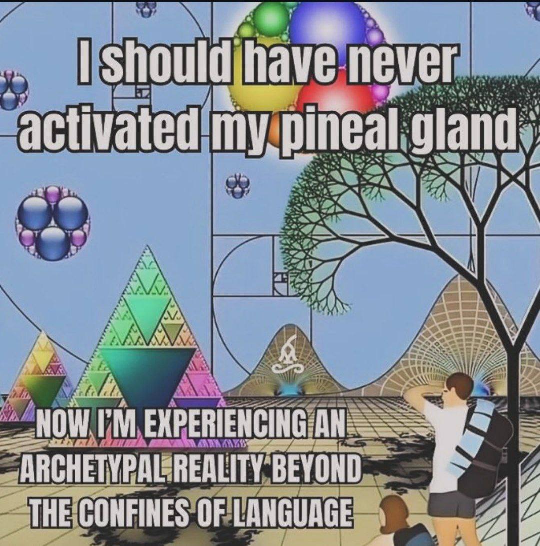 have never activated gland А NOW AN ARCHETYPAL REALITY BEYOND THE CONFINES OF LANGUAGE