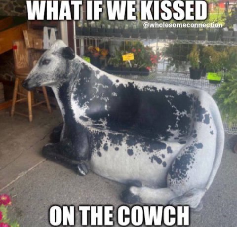 WHAT IF WE KISSED @wholesomeconnestion a ON THE