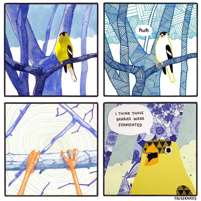 я 5 WIN THOSE BERRIES WERE 4 FALSEKNEES