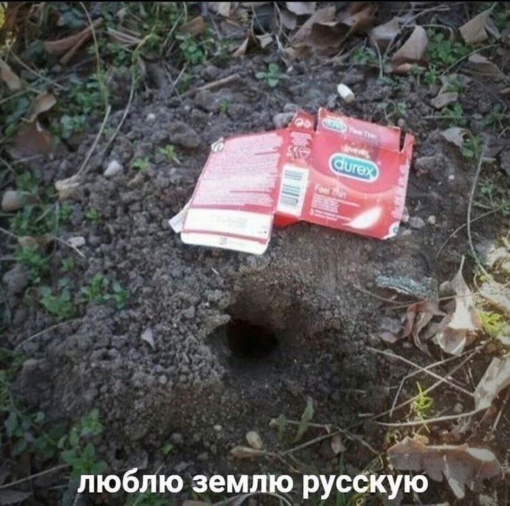 люблю землю русскую