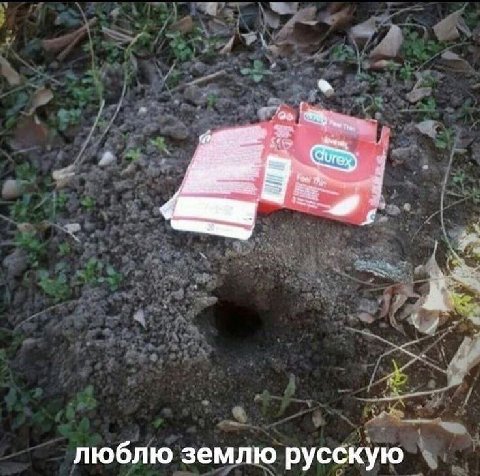 люблю землю русскую