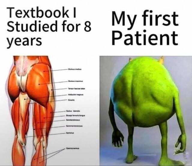 Textbook Studied for 8 My first yea Pati 7