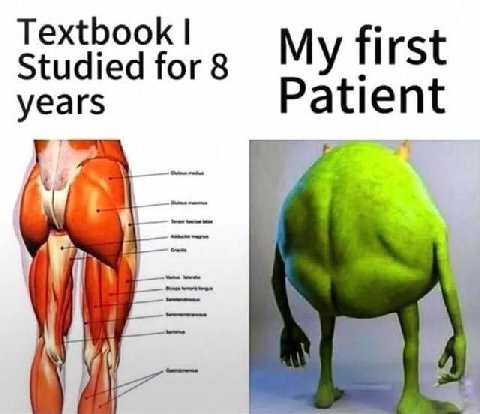 Textbook Studied for 8 My first yea Pati 7
