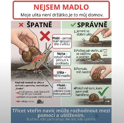 NEJSEM MADLO Moje ulita drzatko.Je to domov SPATNE SPRAVNE dotkni Plast jemna {Кай spojujici télo ulitou 2.Pockej par vterin, Noha zatann vytvari silné a к podkladu it 3.Pomalu 5 zvedn ulitu a 2 povrc