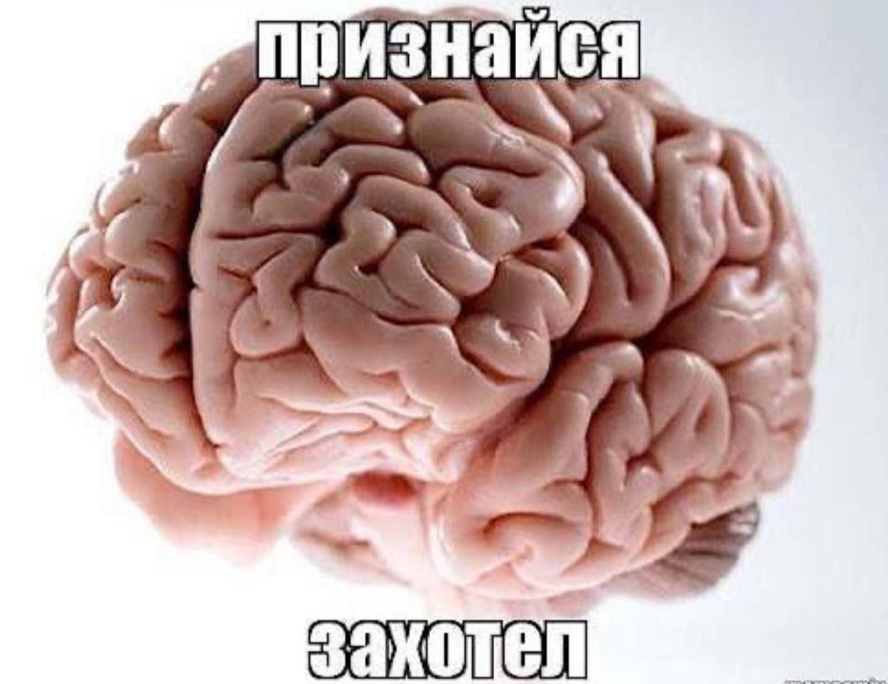 изнаис 1 4