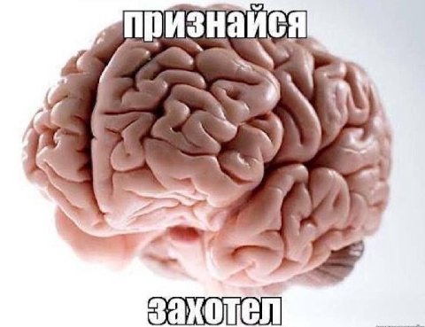 изнаис 1 4