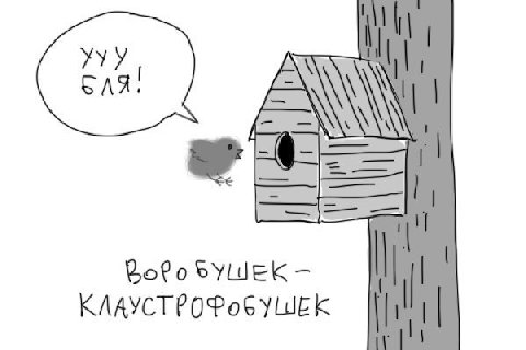 SYUWEK