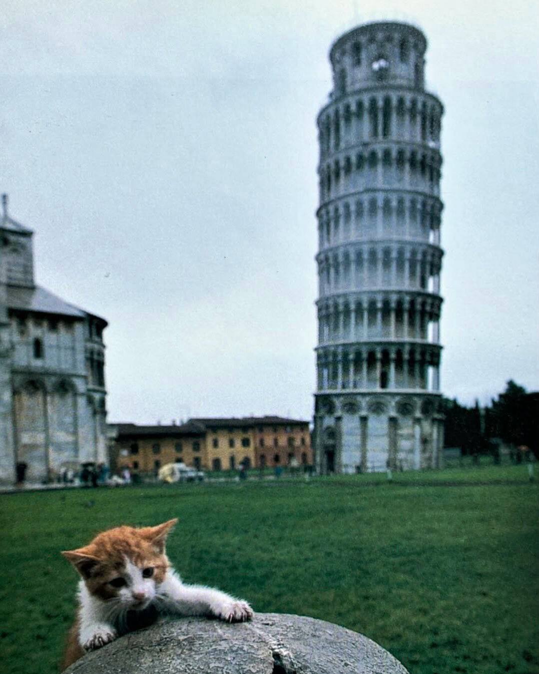 i, a]