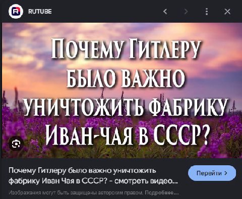RUTUBE ПОЧЕМУ, ЭЖИ ИВАН-ЧАЯ В CCCP? Почему Гитлеру было важно у фабрику Иван Чая в СССР? смотреть видео
