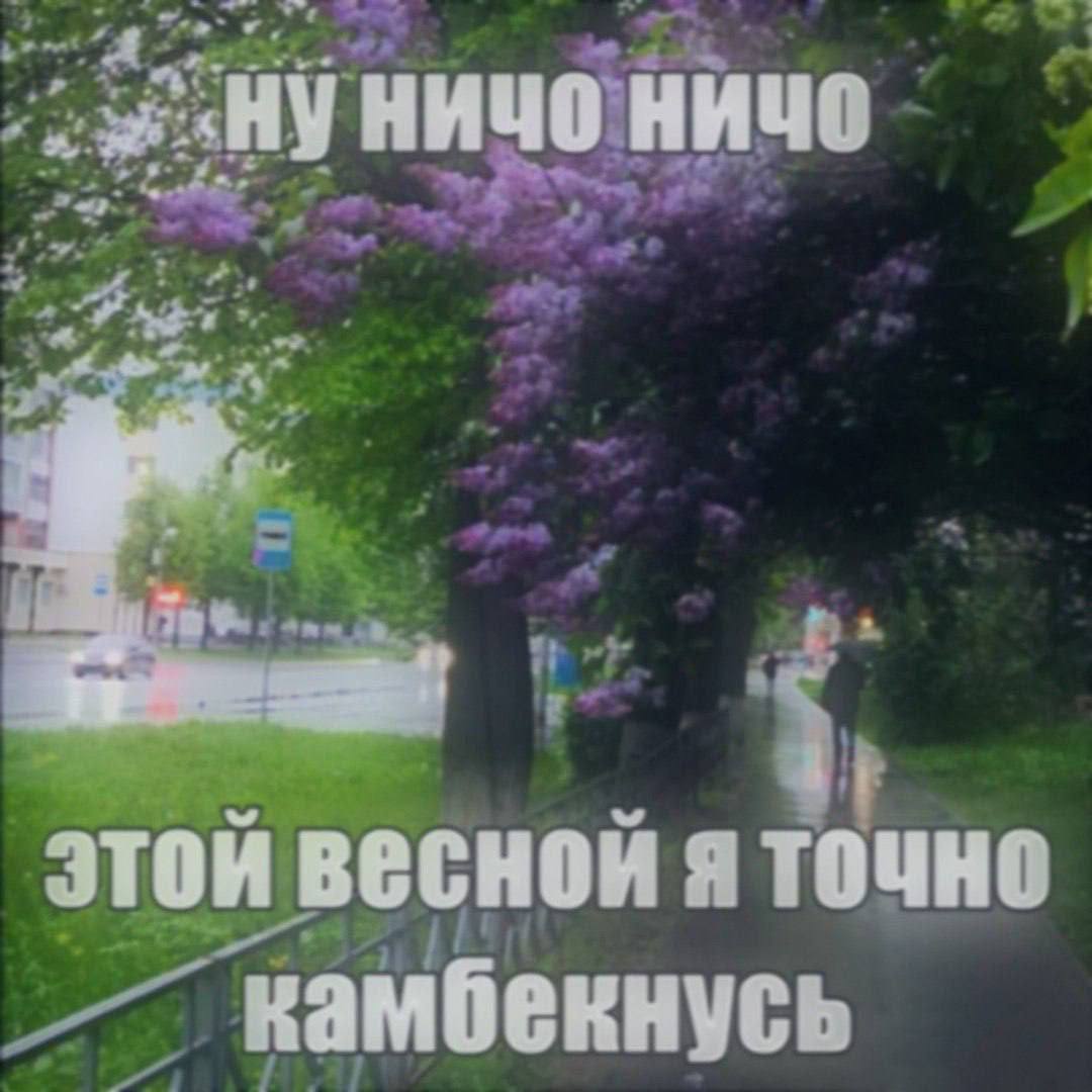 НИЧО НИЧО этой весной A точно ‘камбекнусь