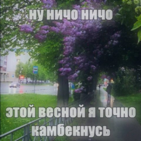 НИЧО НИЧО этой весной A точно ‘камбекнусь