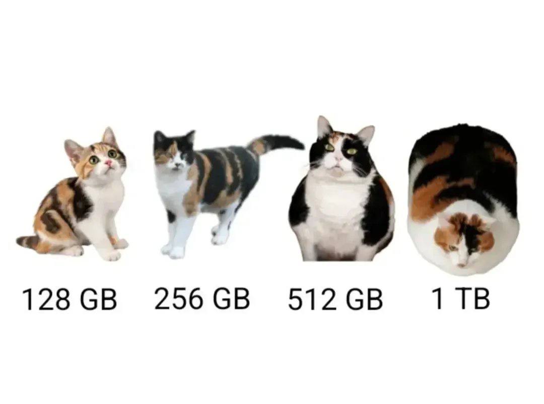 128 256