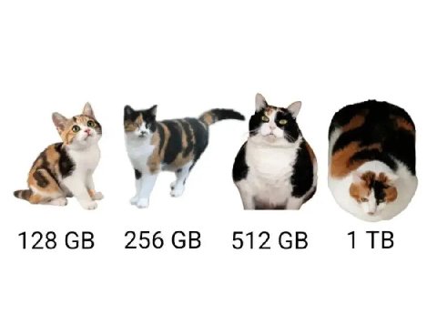 128 256