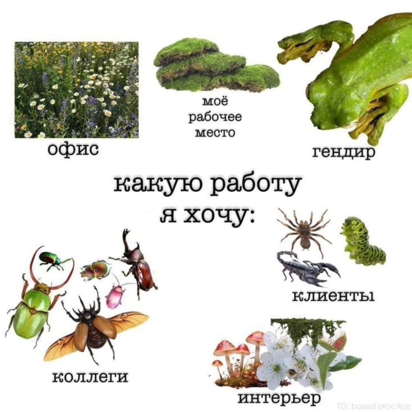 7 мое рабочее место офис гендир какую работу я хочу: клиенты a\ коллеги интерье
